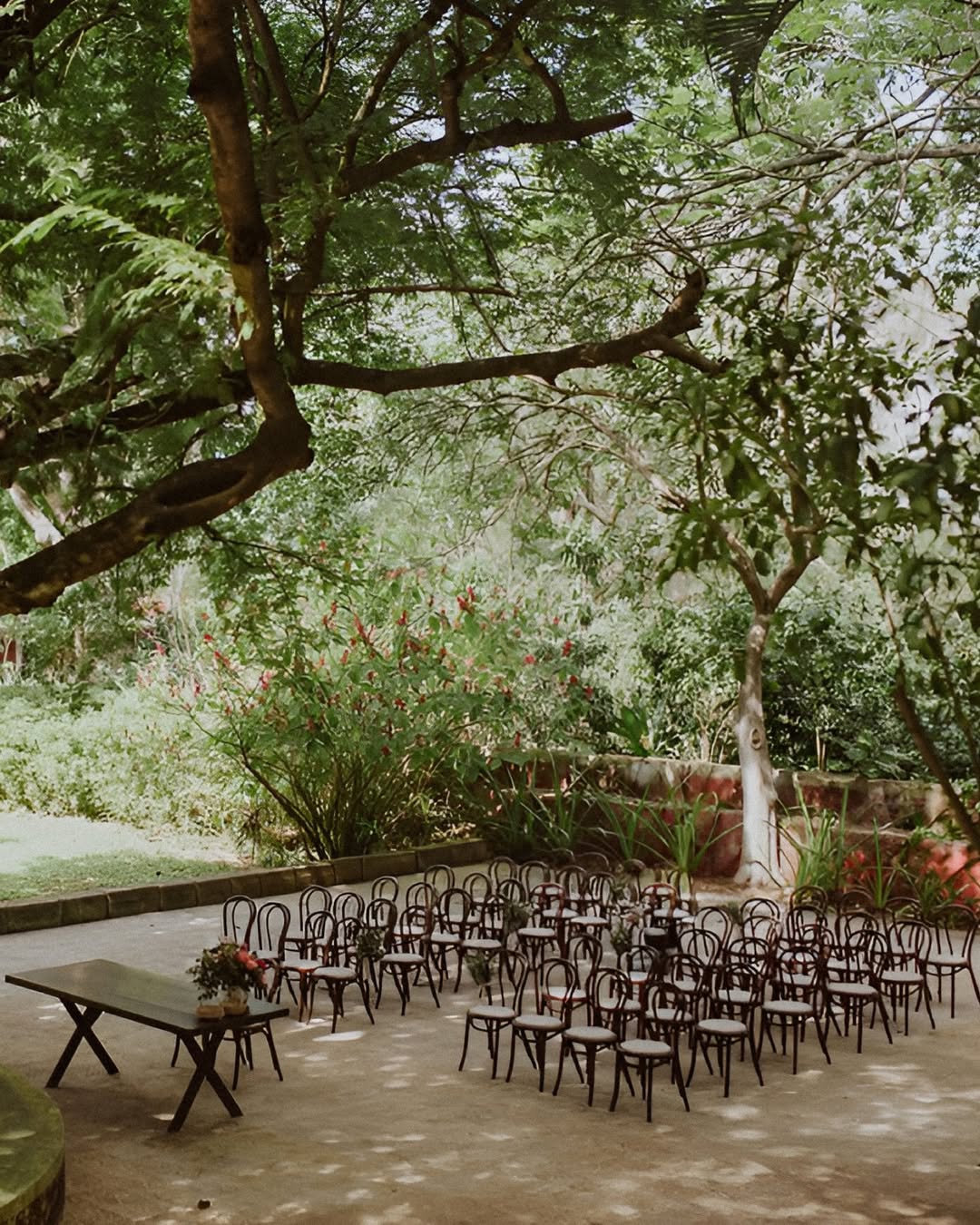 Ceremonia al aire libre bajo los árboles en Hacienda Chuntuac