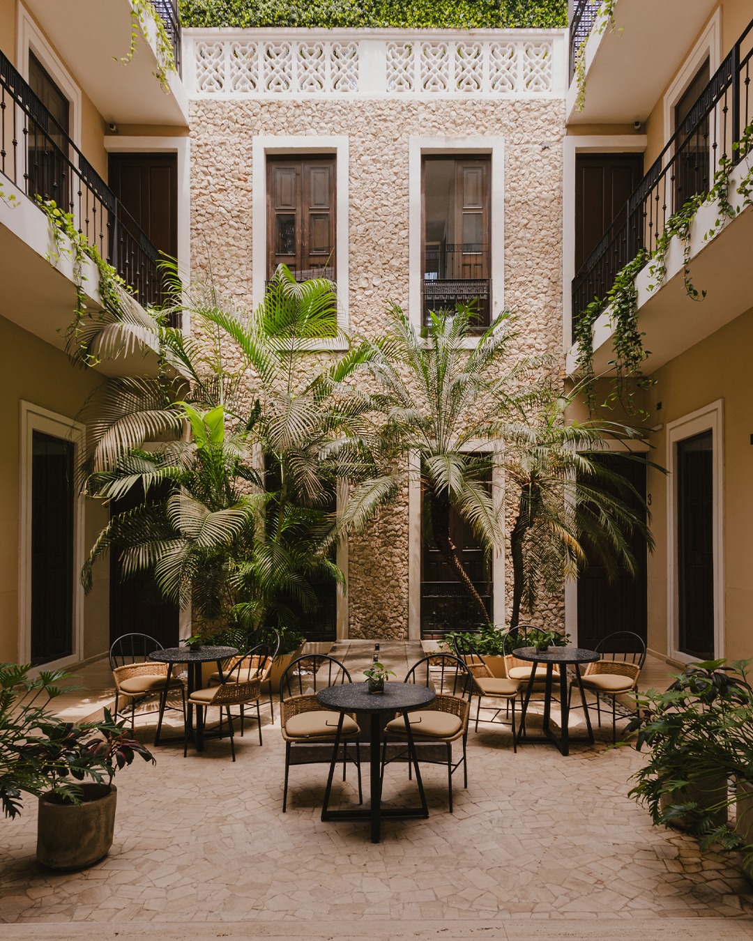 Patio con palmeras del hotel Kahal, en Mérida, Yucatán